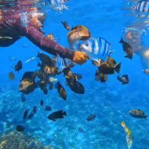 Snorkeling Blue Lagoon (3)