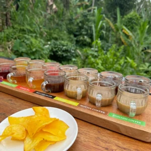 coffee and spices plantation
