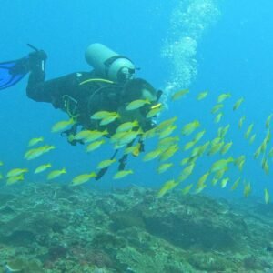 diving 1
