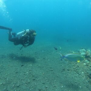 diving 2